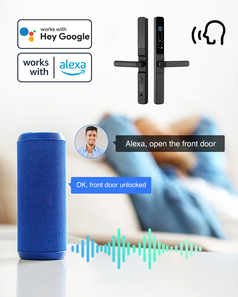 Smart lock amazon and google compatibility